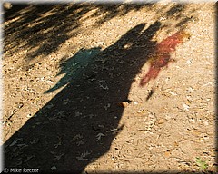 RenFest2015-5838.jpg