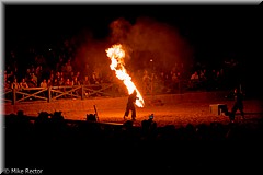 RenFest2015-6345.jpg