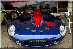 SVRA-5303.jpg