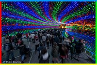 Christmas2014 (101 of 25).jpg