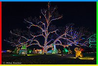 Christmas2014 (102 of 25).jpg