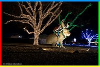 Christmas2014 (106 of 25).jpg
