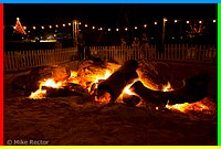 Christmas2014 (109 of 25).jpg