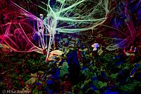 Halloween-5.jpg