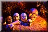 Halloween2012-07.jpg