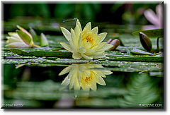 44-_DSC8769-HDR(3)44.jpg