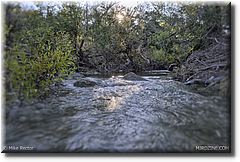 51-Creek1-Bl51.jpg