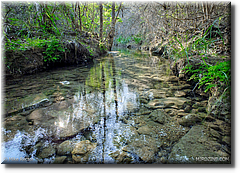 52-DSCF3495-HDR(3)52.jpg