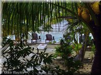 Roatan-2012-25.jpg