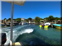 Roatan-2012-39.jpg