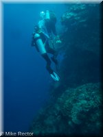Roatan-2012-48.jpg