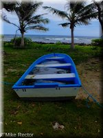 Roatan-2012-71.jpg