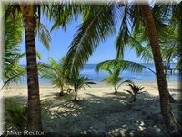Roatan-2012-77.jpg