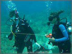 Roatan-2017-34.jpg